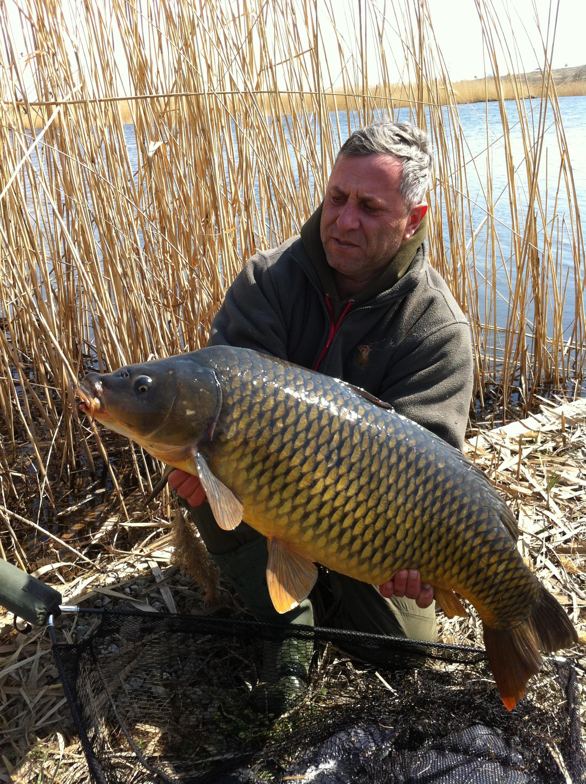 Tancabesti 2012 - aprilie 2012 011.JPG